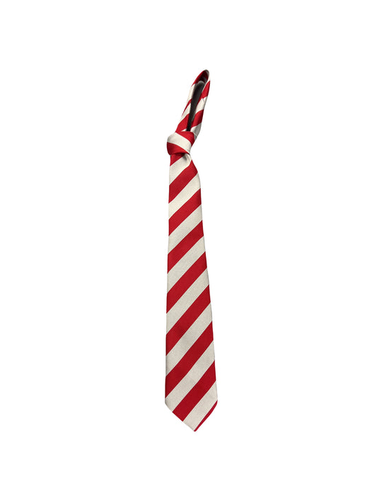 Drumachose Primary School Tie - Self Tie