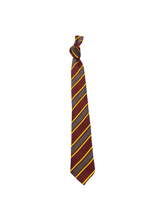 Gaelscoil Léim An Mhadaidh Tie - Self Tie