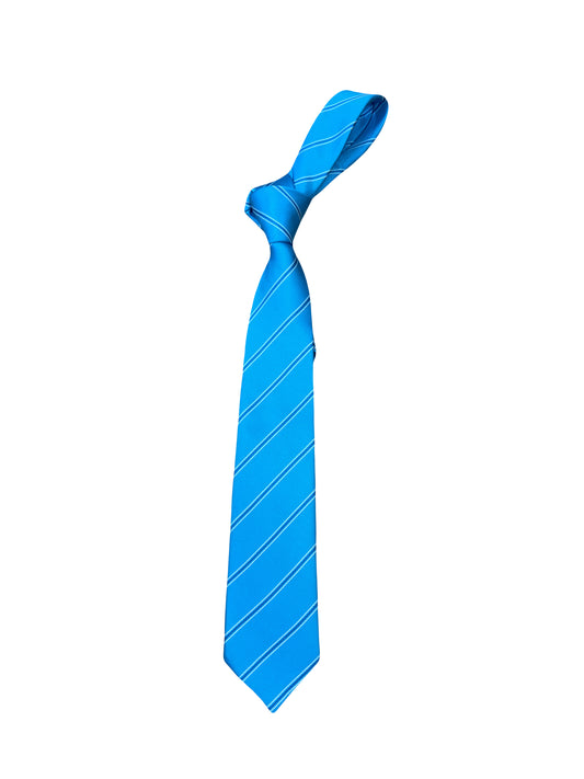 Roe Valley Integrated Primary School Tie - Self Tie